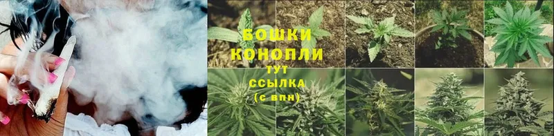 Канабис индика  где можно купить   Богданович 